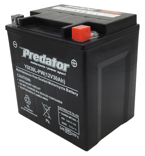 Predator YIX30L-PW 440CCA 30AH AGM Motorcycle & Jetski Battery